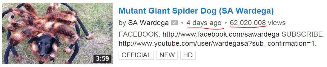 &#91;WOOW&#93; video lucu anjing laba-laba yg telah dilihat 64juta orang dlm 5 hari