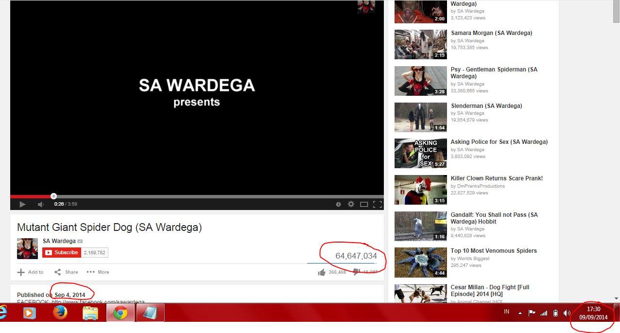 &#91;WOOW&#93; video lucu anjing laba-laba yg telah dilihat 64juta orang dlm 5 hari