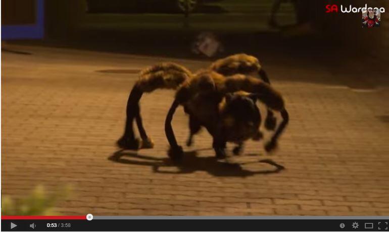 &#91;WOOW&#93; video lucu anjing laba-laba yg telah dilihat 64juta orang dlm 5 hari