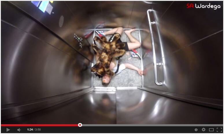 &#91;WOOW&#93; video lucu anjing laba-laba yg telah dilihat 64juta orang dlm 5 hari