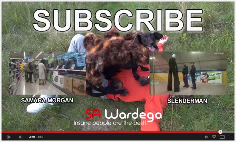 &#91;WOOW&#93; video lucu anjing laba-laba yg telah dilihat 64juta orang dlm 5 hari