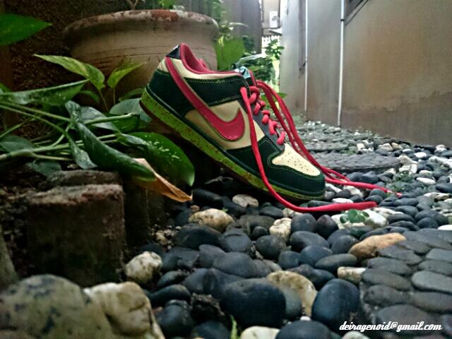nike sb dunk low mosquito