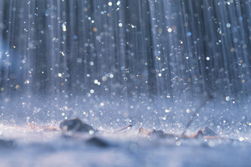 Fakta Menarik Tentang Tentang Hujan