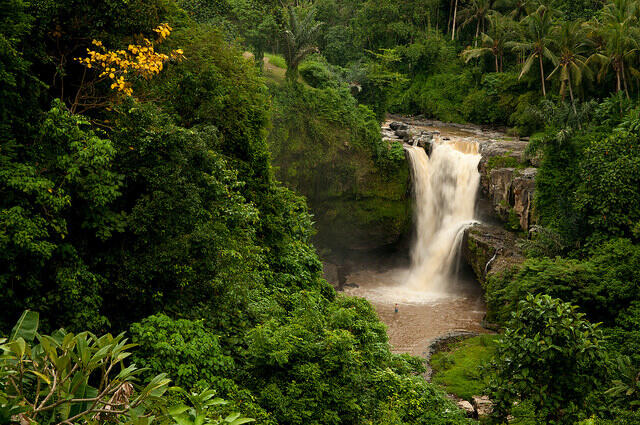 uncovering, keindahan air terjun Bali yg tersembunyi.. BB 21++