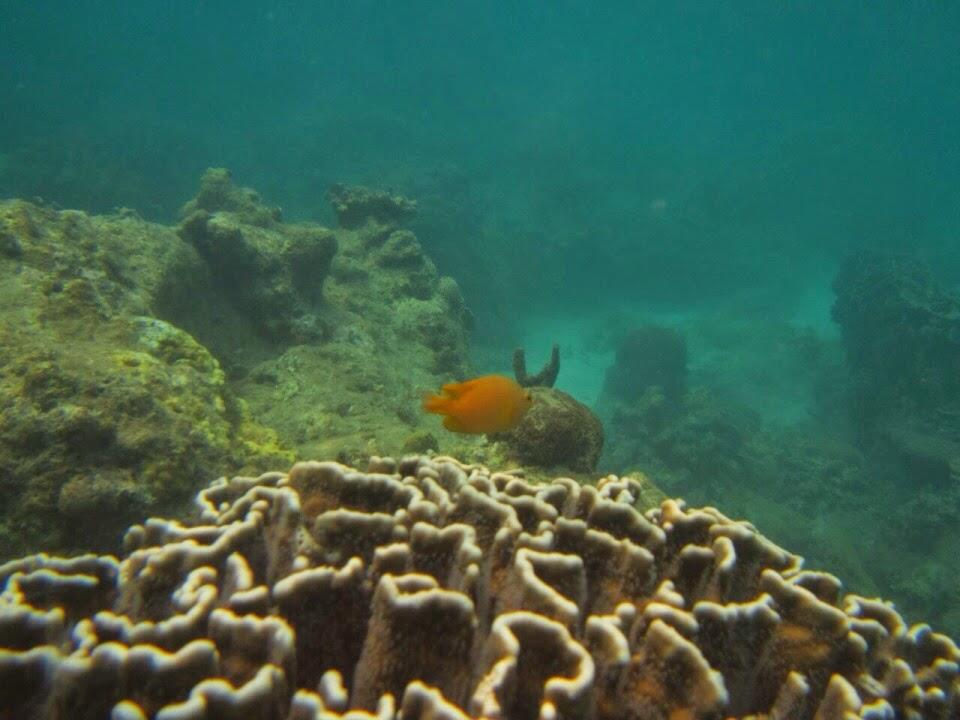 &#91;FR&#93; Wisata Bahari Pulau Tunda Serang - Banten