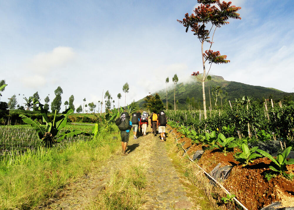 &#91;CATPER&#93; Sindoro via Bansari, Temanggung 28 - 30 Mei 2014