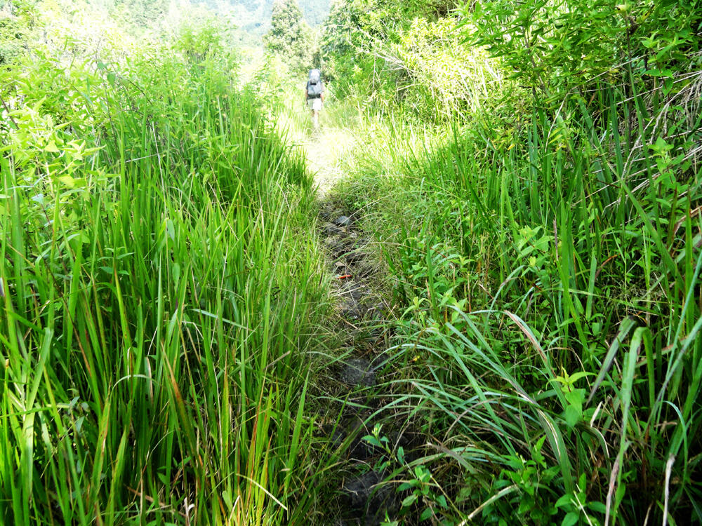 &#91;CATPER&#93; Sindoro via Bansari, Temanggung 28 - 30 Mei 2014