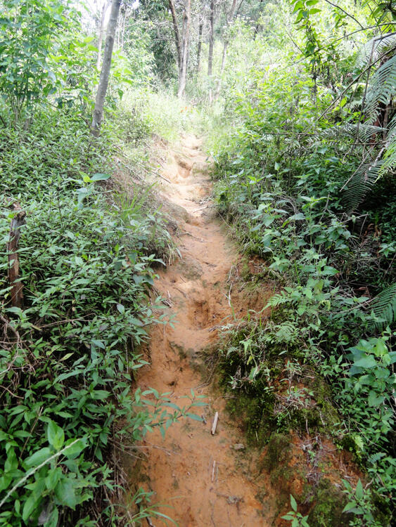 &#91;CATPER&#93; Sindoro via Bansari, Temanggung 28 - 30 Mei 2014