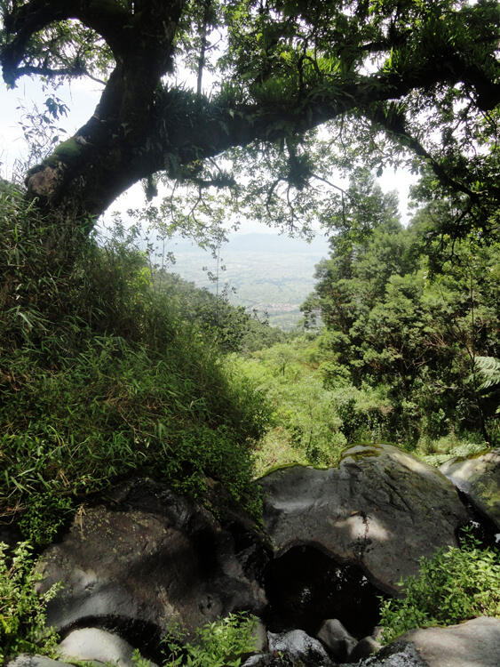 &#91;CATPER&#93; Sindoro via Bansari, Temanggung 28 - 30 Mei 2014