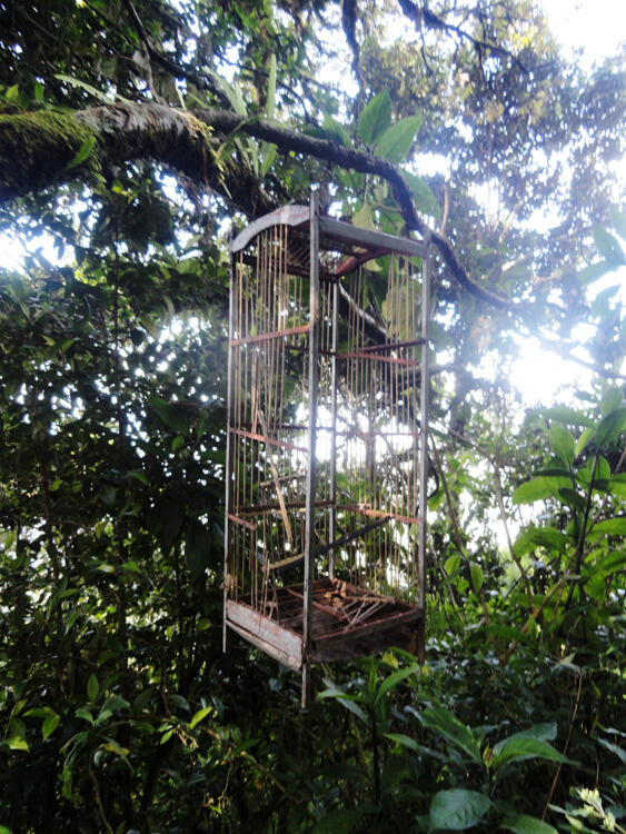 &#91;CATPER&#93; Sindoro via Bansari, Temanggung 28 - 30 Mei 2014