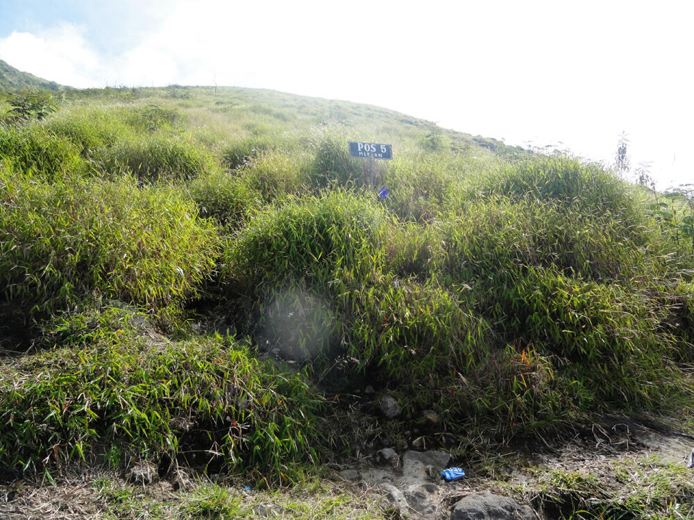 &#91;CATPER&#93; Sindoro via Bansari, Temanggung 28 - 30 Mei 2014