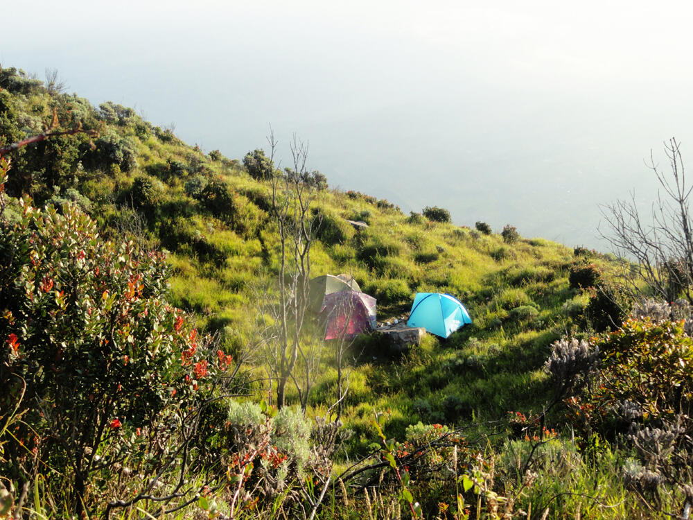 &#91;CATPER&#93; Sindoro via Bansari, Temanggung 28 - 30 Mei 2014