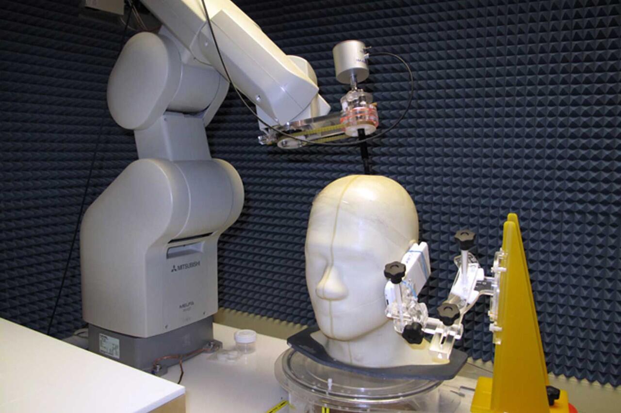 Fakta Penting Untuk Diketahui