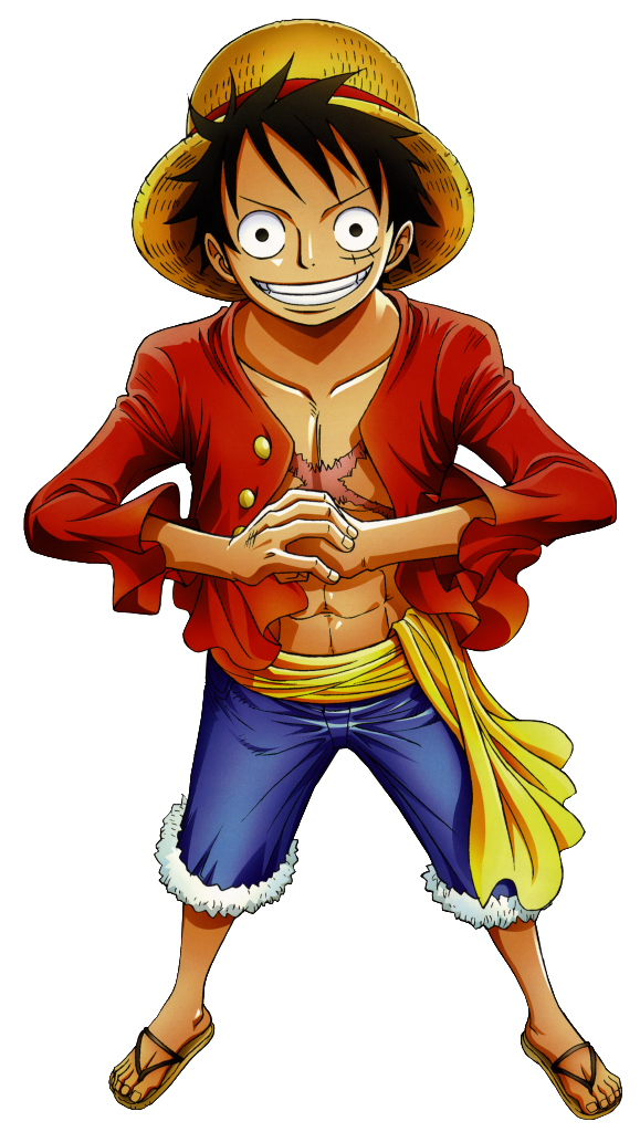 One Piece Bio