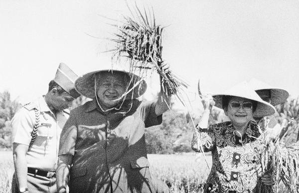 Gan, masih ingat kebiasaan Soeharto panen padi di sawah?