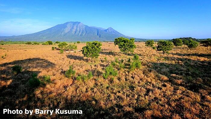 (SHARING COST) Explore Banyuwangi - P. Menjangan 3-7 oktober 2014