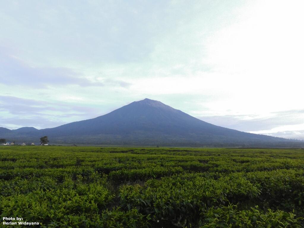 &#91;Catper&#93; Kerinci &amp; Danau Gunung 7 19-21 AGustus 2014