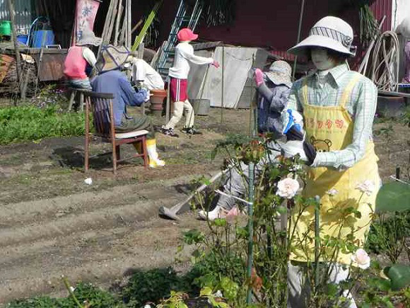 Orangan Sawah Yang Tidak Disukai Burung, Tapi Menjadi Daya Tarik Wisatawan