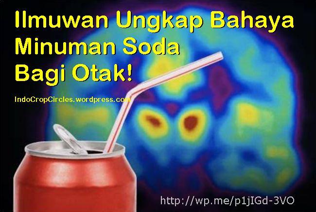 &#91;Wow&#93; Ilmuwan Ungkap Bahaya Minuman Soda Bagi Otak dan Tubuh Kita!