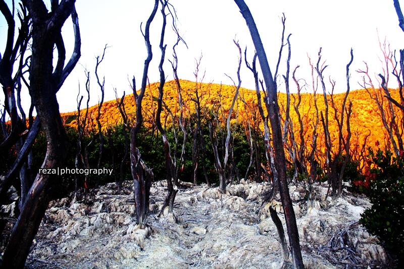 KEINDAHAN GUNUNG PAPANDAYAN #GARUT