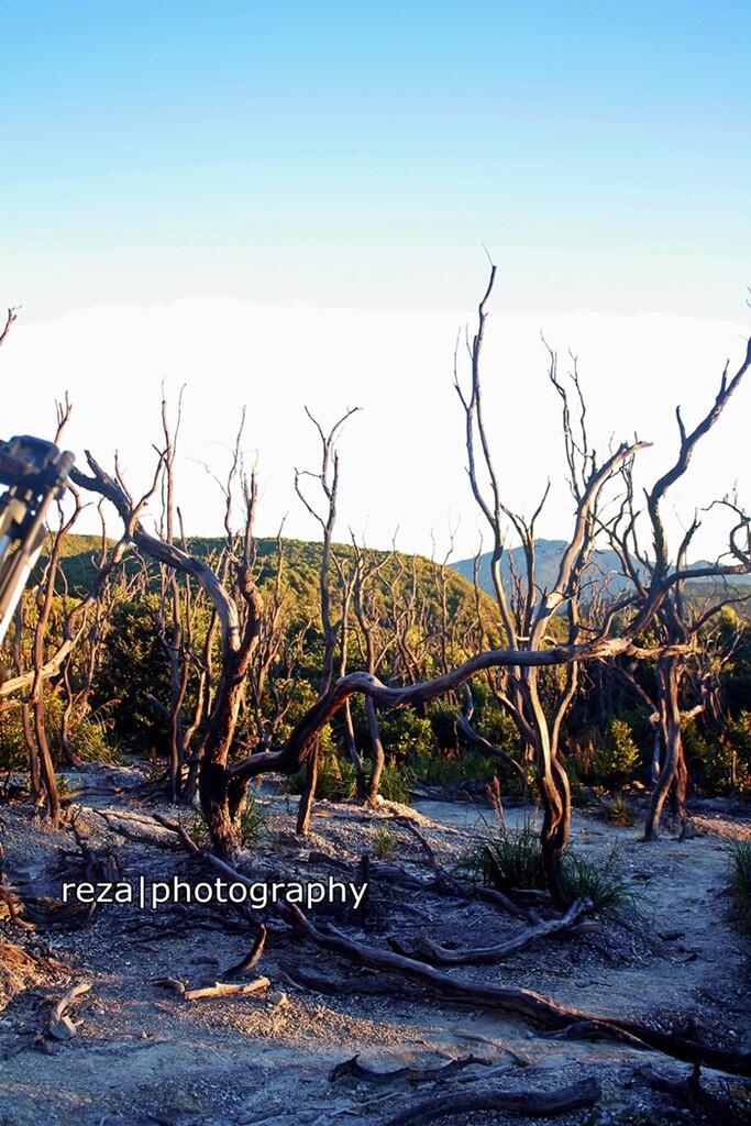KEINDAHAN GUNUNG PAPANDAYAN #GARUT