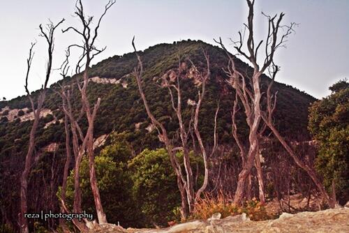 KEINDAHAN GUNUNG PAPANDAYAN #GARUT