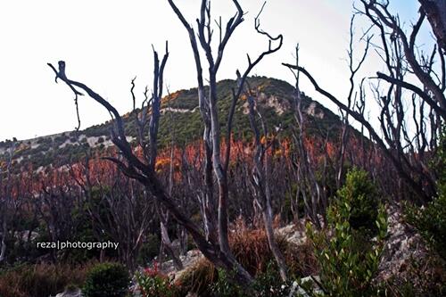 KEINDAHAN GUNUNG PAPANDAYAN #GARUT