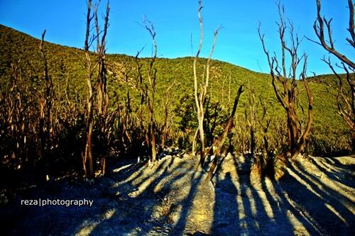 KEINDAHAN GUNUNG PAPANDAYAN #GARUT