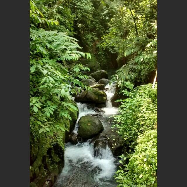 Palaruga-Wisata Hijau yang tersembunyi.