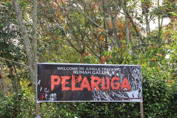 Palaruga-Wisata Hijau yang tersembunyi.