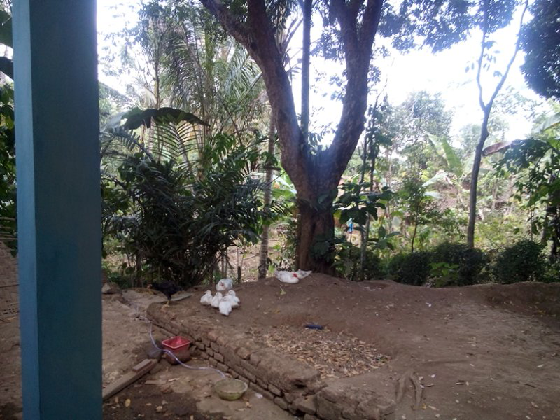 sesepuh tolong trawangin tempat ini