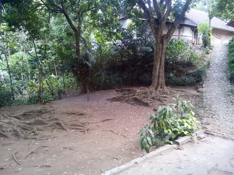 sesepuh tolong trawangin tempat ini
