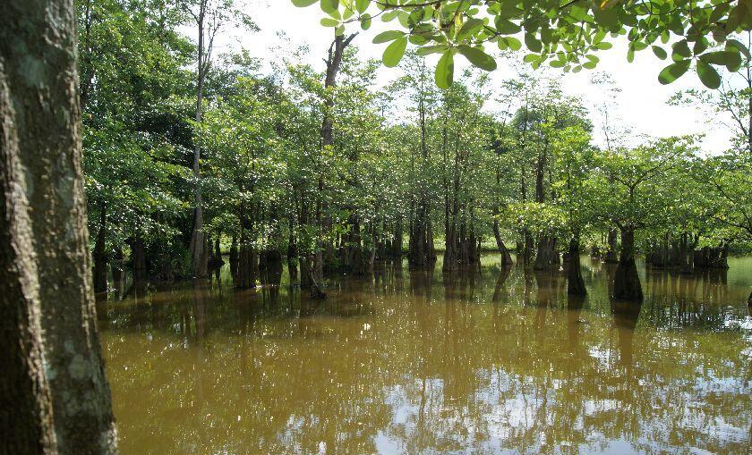 Inilah Taman Kota Tercantik Di Indonesia