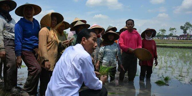 Lagi, Jokowi janji tiga tahun swasembada pangan tanpa tambahan lahan