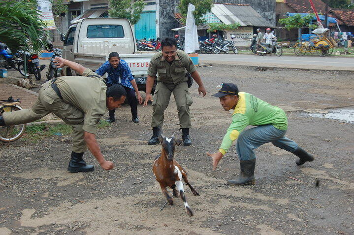 Satpol PP musuh Pedagang Kaki Lima