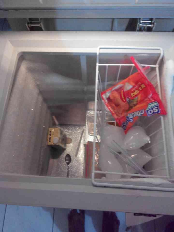 FREEZER BOX GEA
