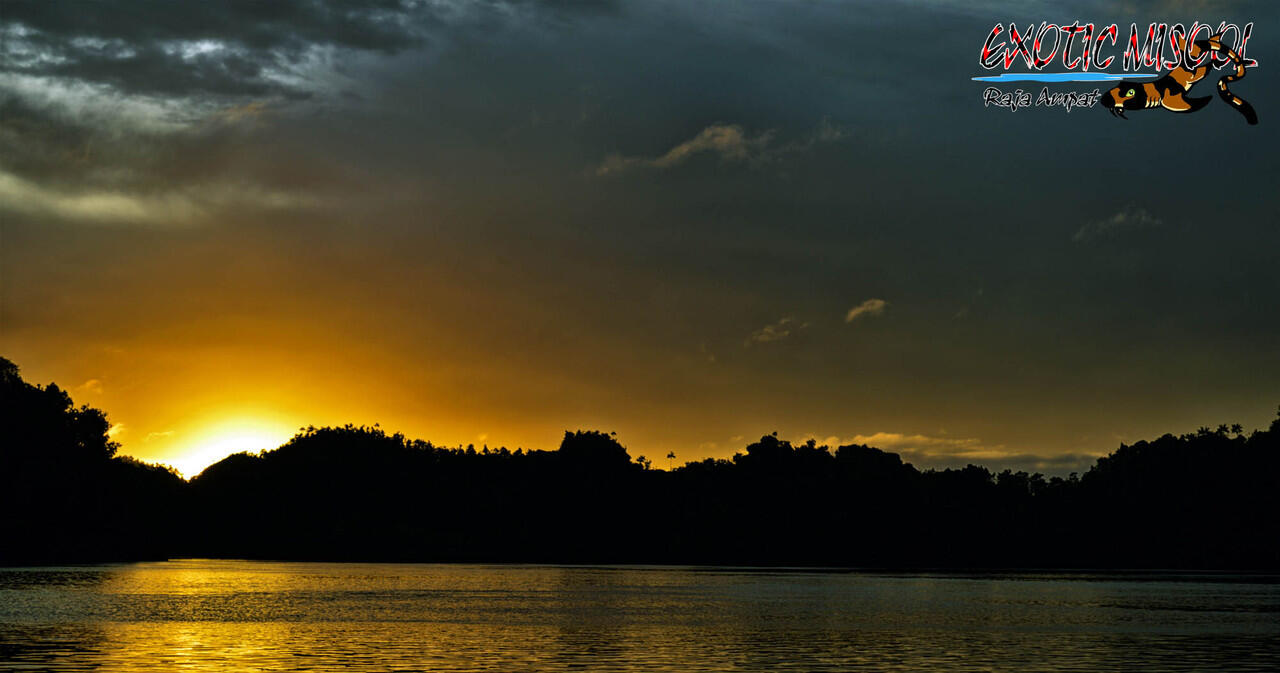 Raja Ampat Selatan Lebih WooOooW
