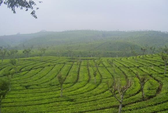 Masuk Gan ! bagi yang belum tahu dan belum pernah ke Kota/Provinsi Bengkulu.