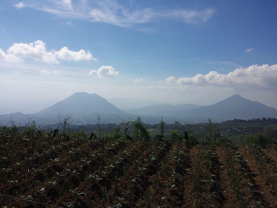 EKSPEDISI MERDEKA GUNUNG MERBABU