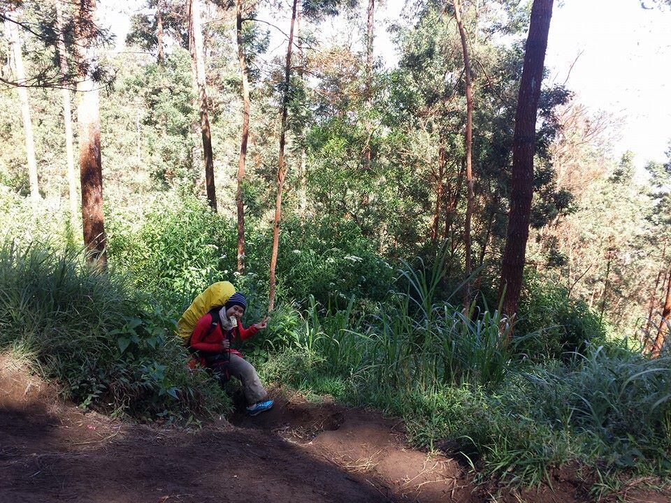 EKSPEDISI MERDEKA GUNUNG MERBABU