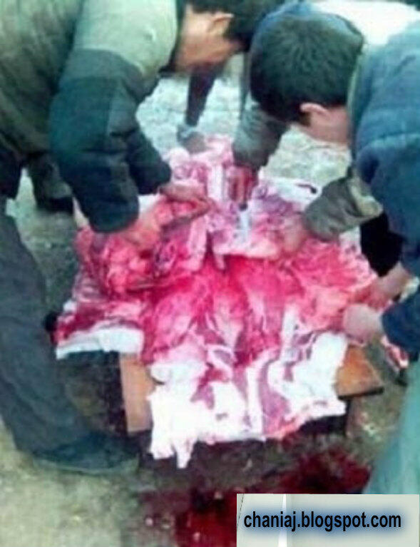 pesta daging manusia di CHINA