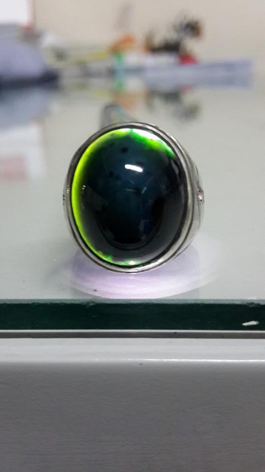 BACAN DOKO SERAT KURA BODY GLAS