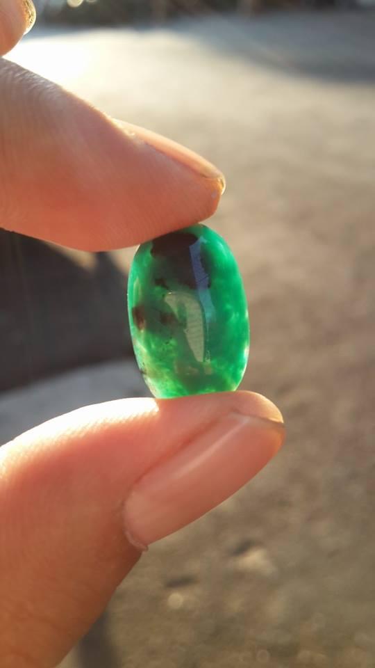 BACAN DOKO SERAT KURA BODY GLAS
