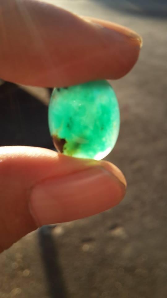 BACAN DOKO SERAT KURA BODY GLAS