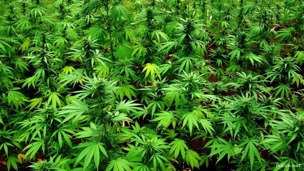 10 Hal yang Bikin Kualitas Sperma Jadi Buruk