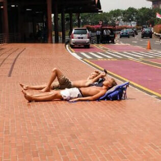 BULE BERJEMUR DI BANDARA