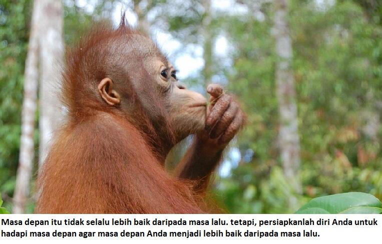 Mau berubah hidup harus siap dirubah, Belajar dari orang Hutan.