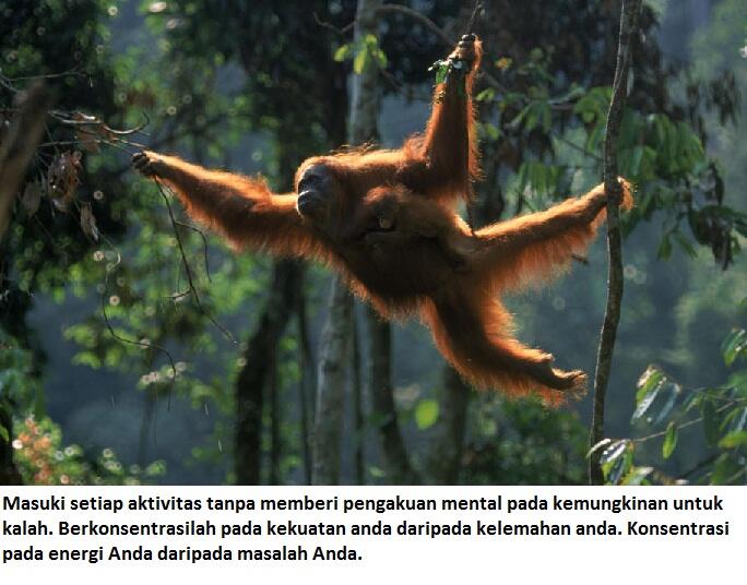 Mau berubah hidup harus siap dirubah, Belajar dari orang Hutan.