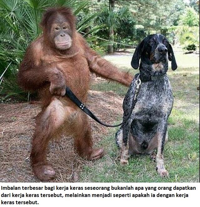 Mau berubah hidup harus siap dirubah, Belajar dari orang Hutan.