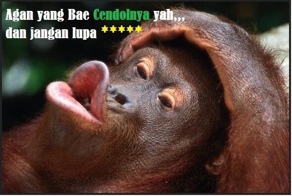 Mau berubah hidup harus siap dirubah, Belajar dari orang Hutan.
